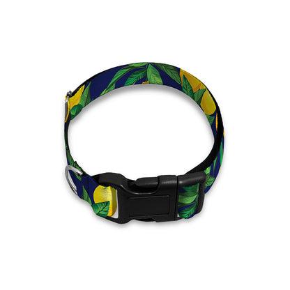 Tropical Lemon Pattern Print Dog Collar
