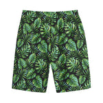 Tropical Monstera Leaves Pattern Print Cotton Shorts