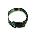 Tropical Monstera Leaves Pattern Print Dog Collar