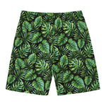 Tropical Monstera Leaves Pattern Print Men's Swim Trunks