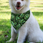 Tropical Monstera Leaves Pattern Print Over The Collar Dog Bandana