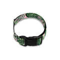 Tropical Palm Leaf And Toucan Print Dog Collar