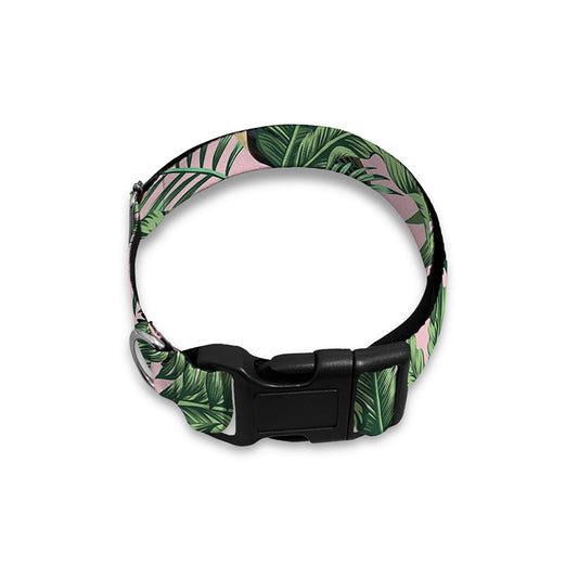 Tropical Palm Leaf And Toucan Print Dog Collar