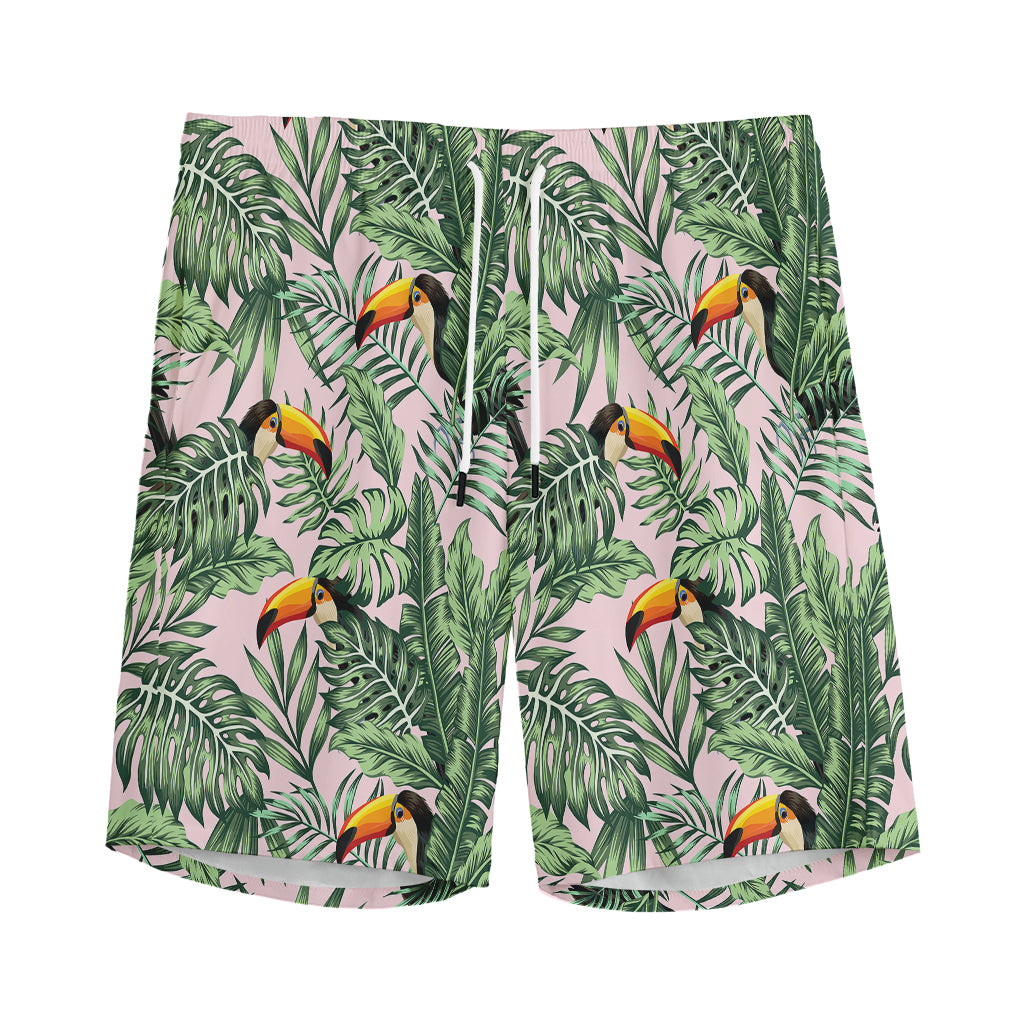 Tropical Palm Leaf And Toucan Print Men's Sports Shorts