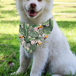 Tropical Palm Leaf And Toucan Print Over The Collar Dog Bandana