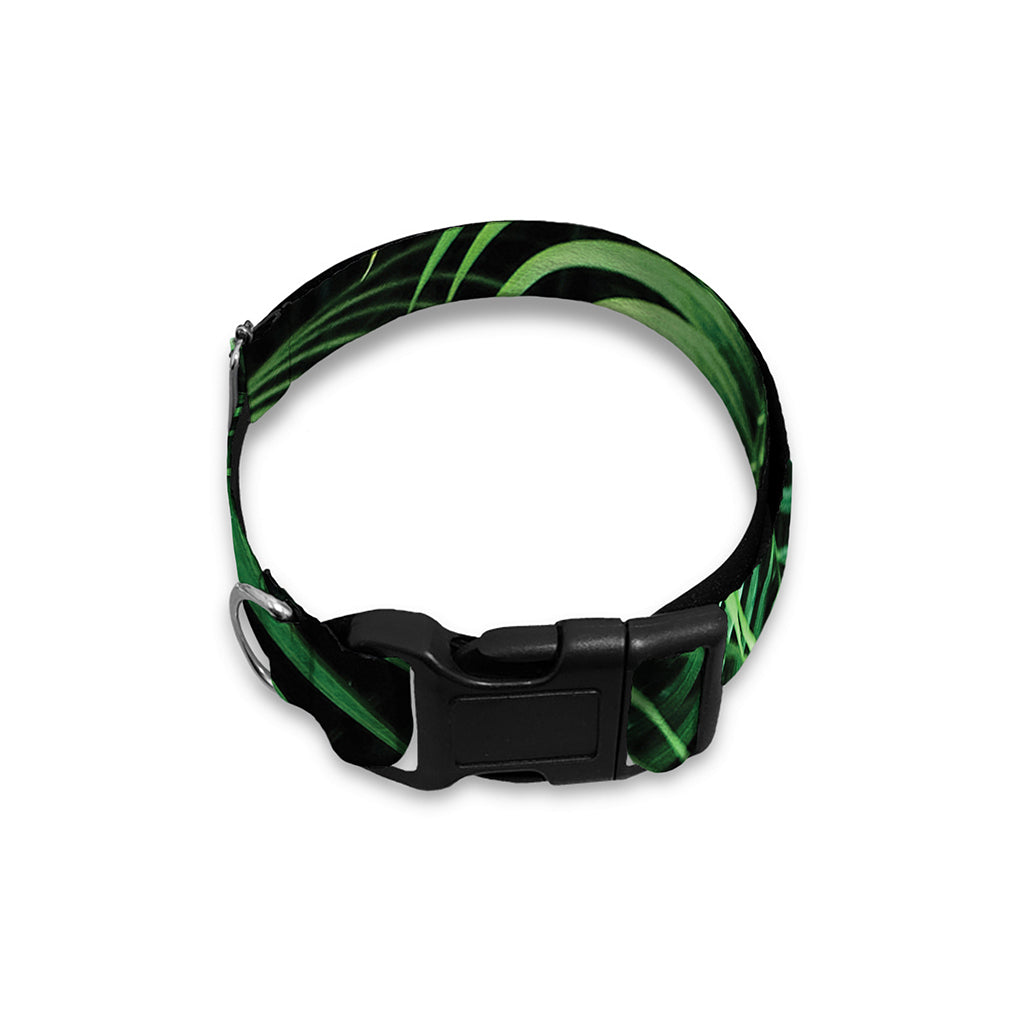 Tropical Palm Leaf Print Dog Collar