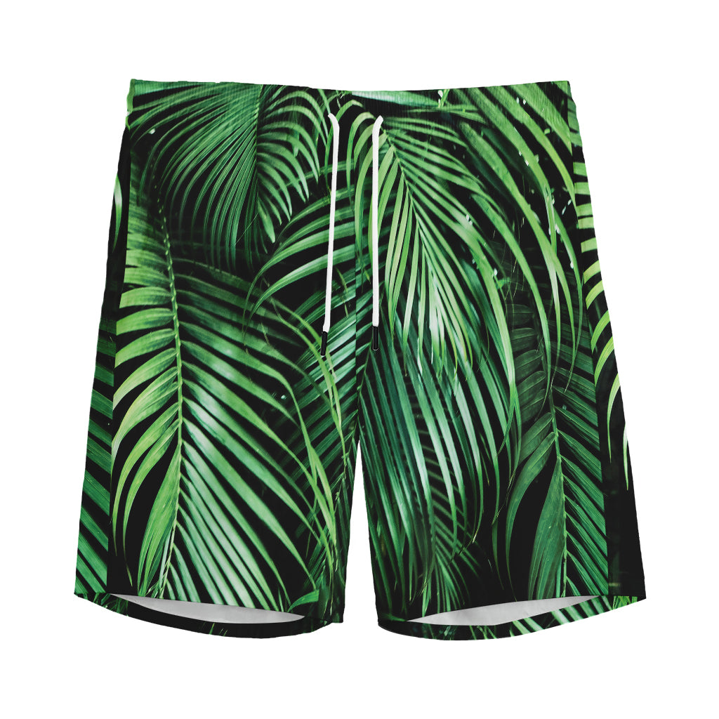 Tropical Palm Leaf Print Men's Sports Shorts