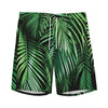 Tropical Palm Leaf Print Men's Sports Shorts