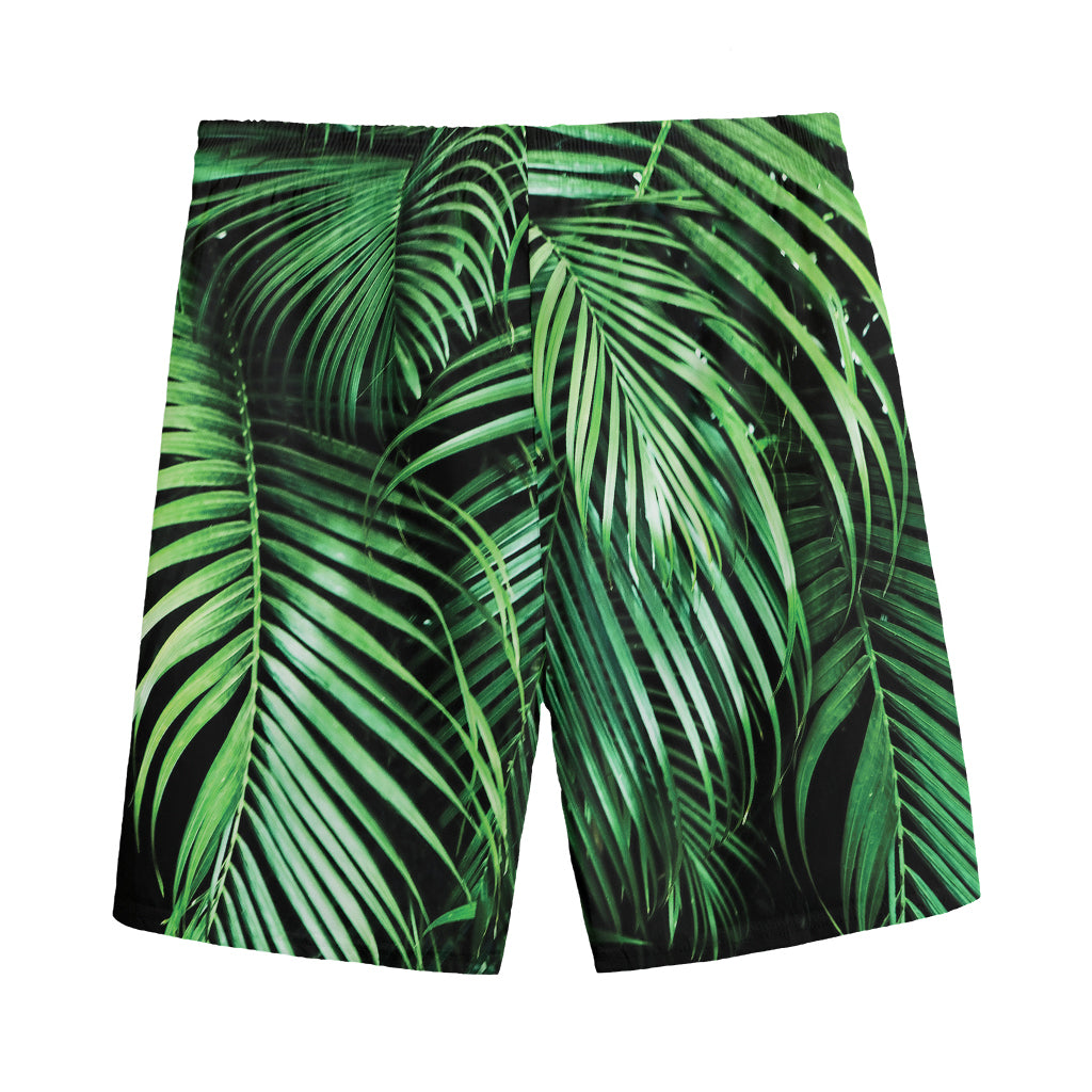 Tropical Palm Leaf Print Men's Sports Shorts