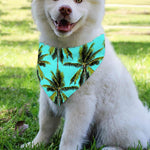 Tropical Palm Tree Pattern Print Over The Collar Dog Bandana