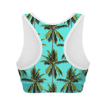 Tropical Palm Tree Pattern Print Women's Sports Bra