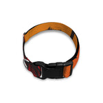 Tropical Palm Tree Sunset Print Dog Collar