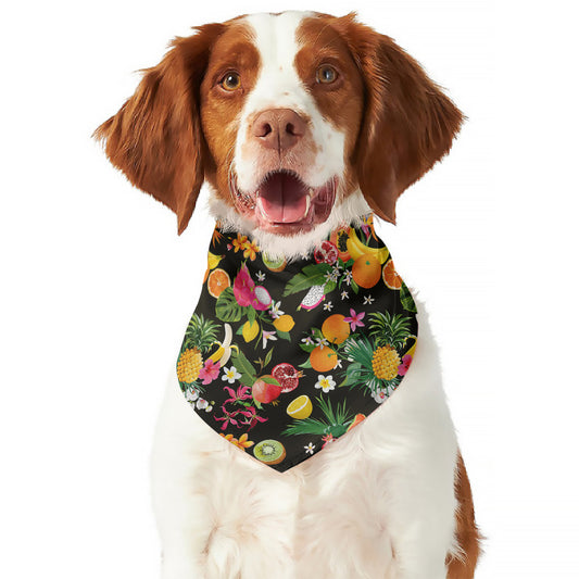 Tropical Paradise Fruits Pattern Print Dog Bandana