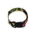 Tropical Paradise Fruits Pattern Print Dog Collar