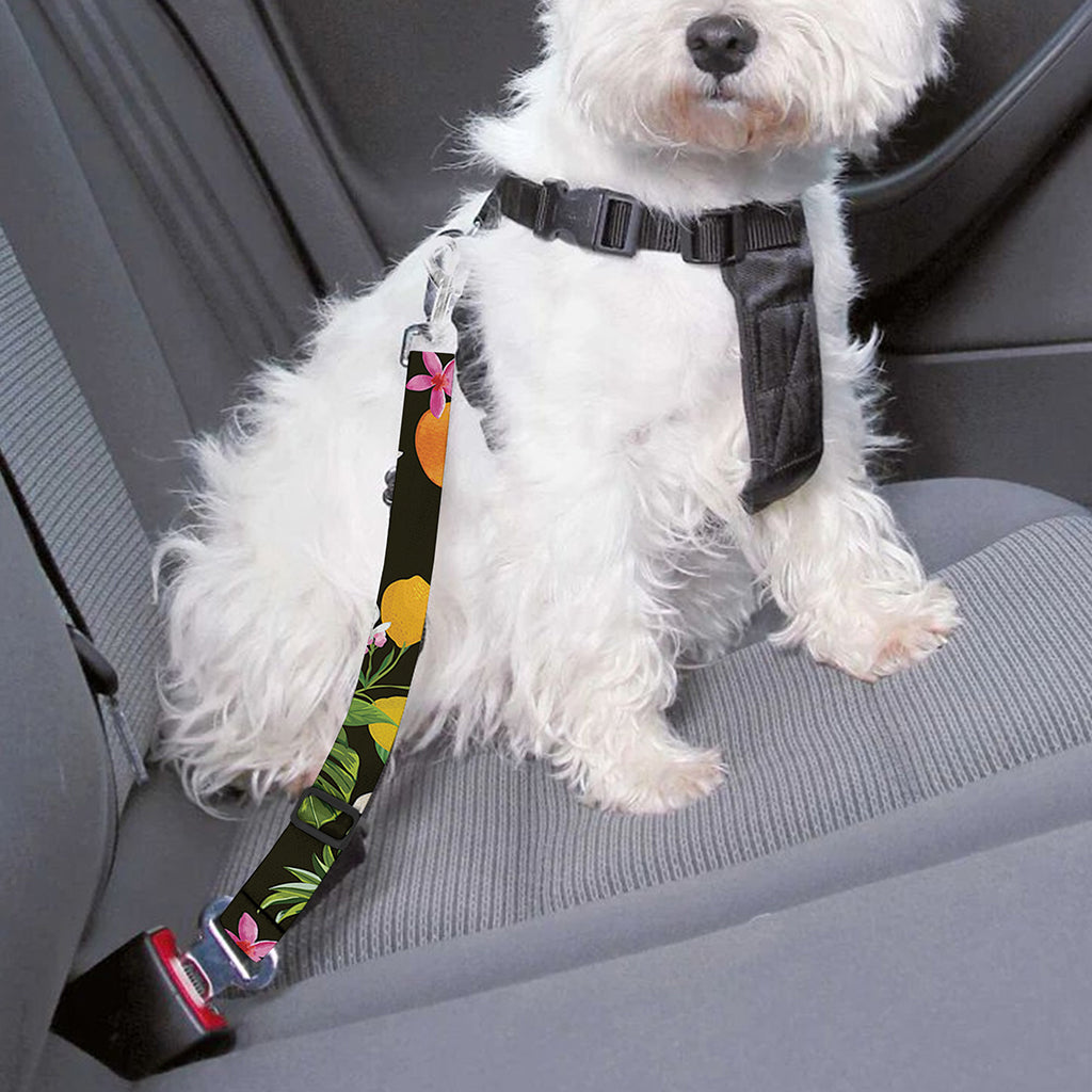 Tropical Paradise Fruits Pattern Print Dog Seat Belt