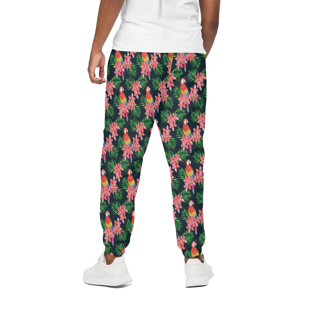 Tropical Parrot Pattern Print Cotton Pants