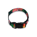 Tropical Parrot Pattern Print Dog Collar