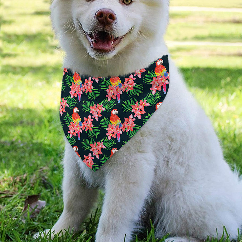 Tropical Parrot Pattern Print Over The Collar Dog Bandana