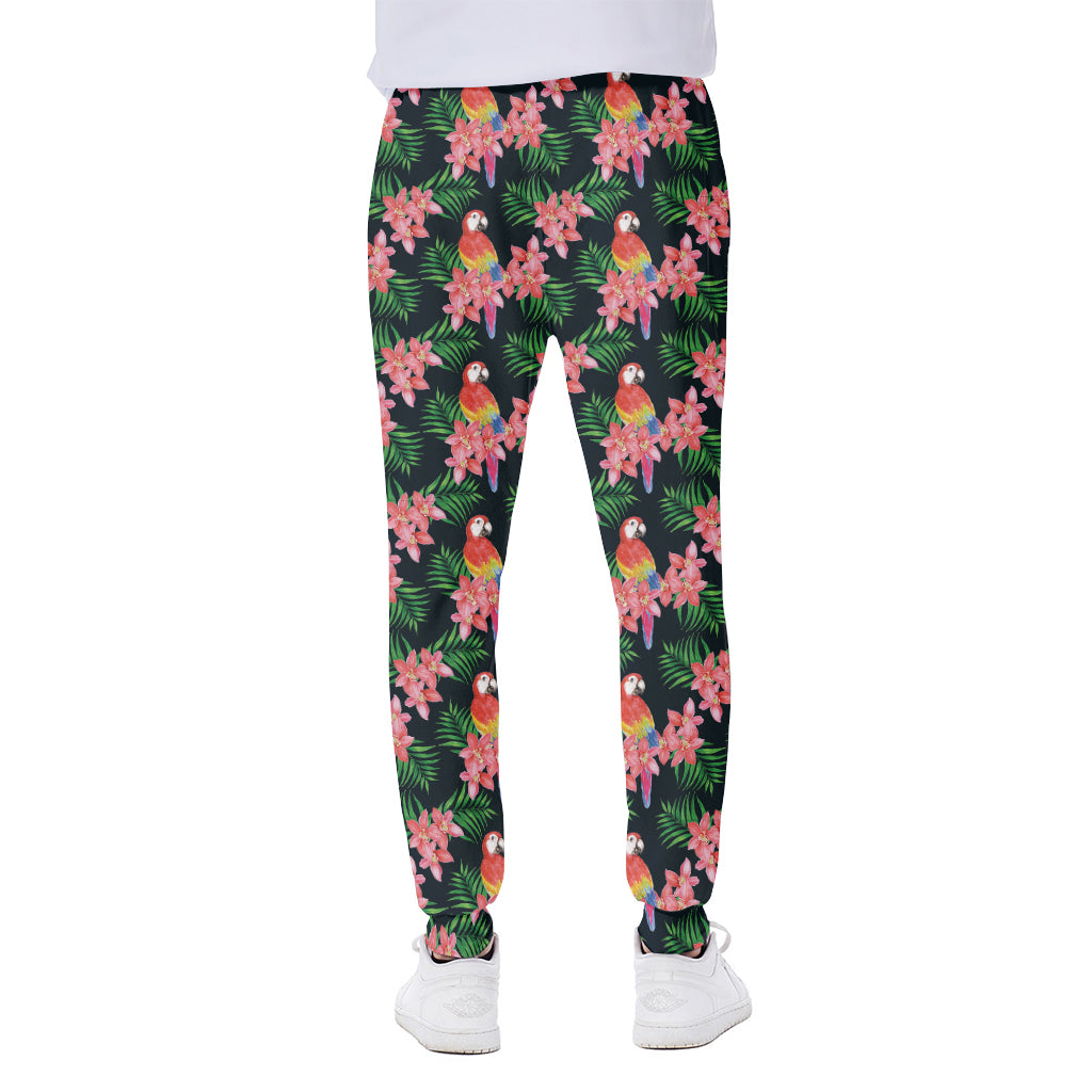 Tropical Parrot Pattern Print Scuba Joggers