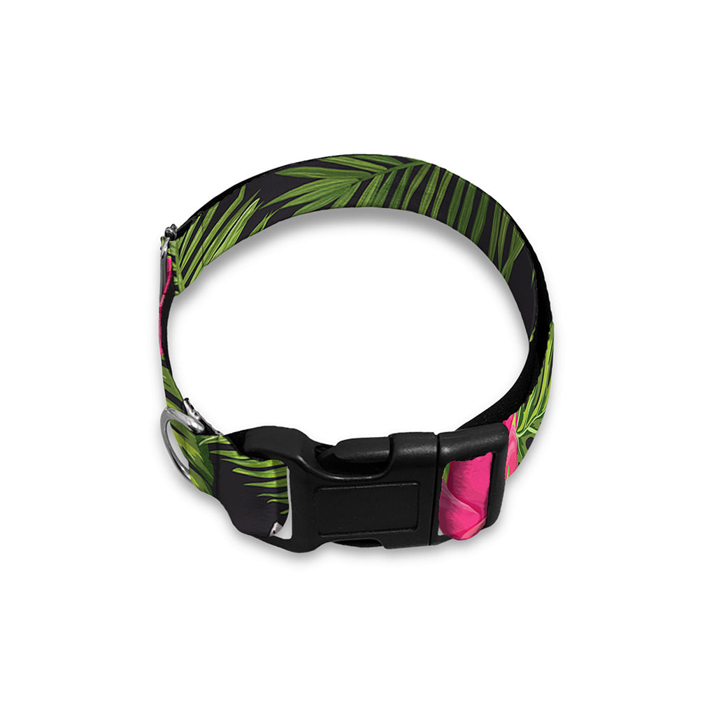 Tropical Pitaya Pattern Print Dog Collar