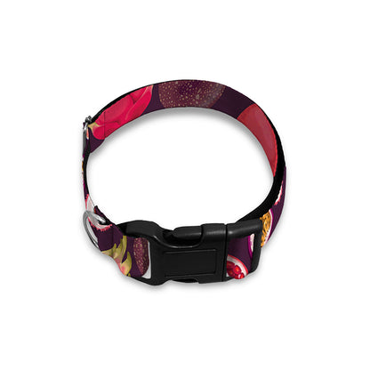 Tropical Summer Fruits Pattern Print Dog Collar