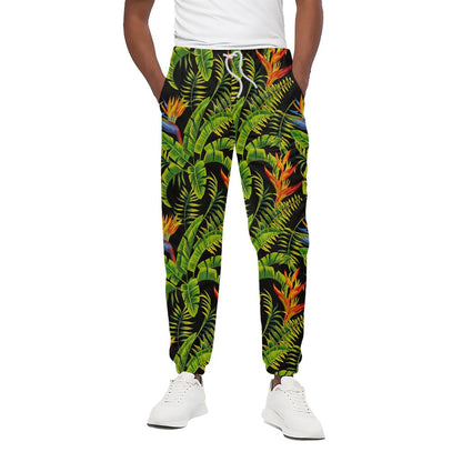 Tropical Summer Pattern Print Cotton Pants