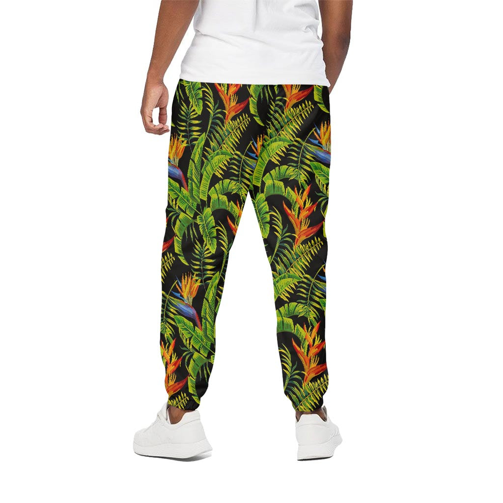 Tropical Summer Pattern Print Cotton Pants