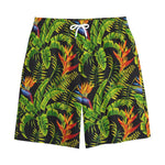 Tropical Summer Pattern Print Cotton Shorts