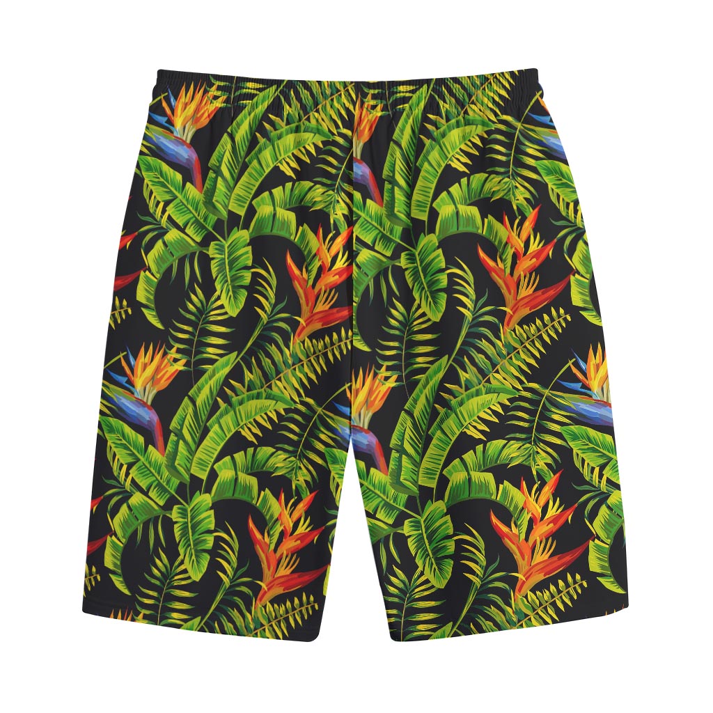 Tropical Summer Pattern Print Cotton Shorts