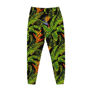 Tropical Summer Pattern Print Jogger Pants