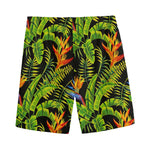 Tropical Summer Pattern Print Men's Sports Shorts