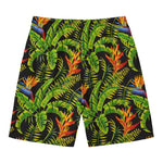 Tropical Summer Pattern Print Men's Swim Trunks