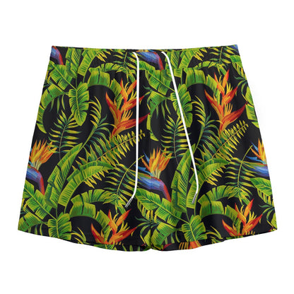 Tropical Summer Pattern Print Mesh Shorts