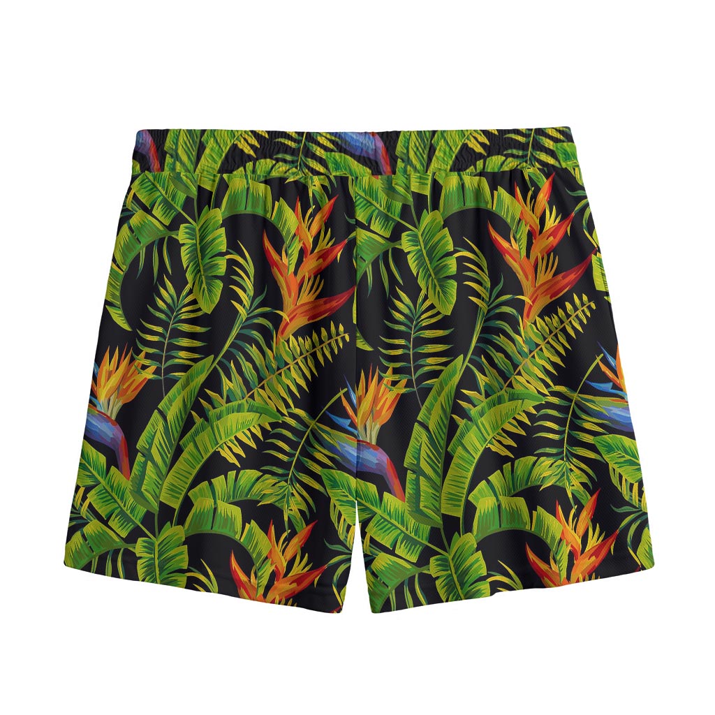 Tropical Summer Pattern Print Mesh Shorts