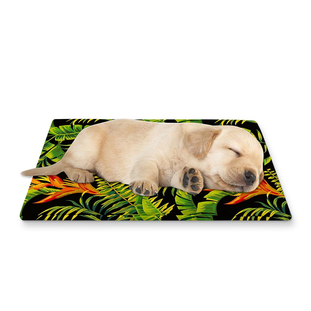 Tropical Summer Pattern Print Pet Cooling Mat Cover