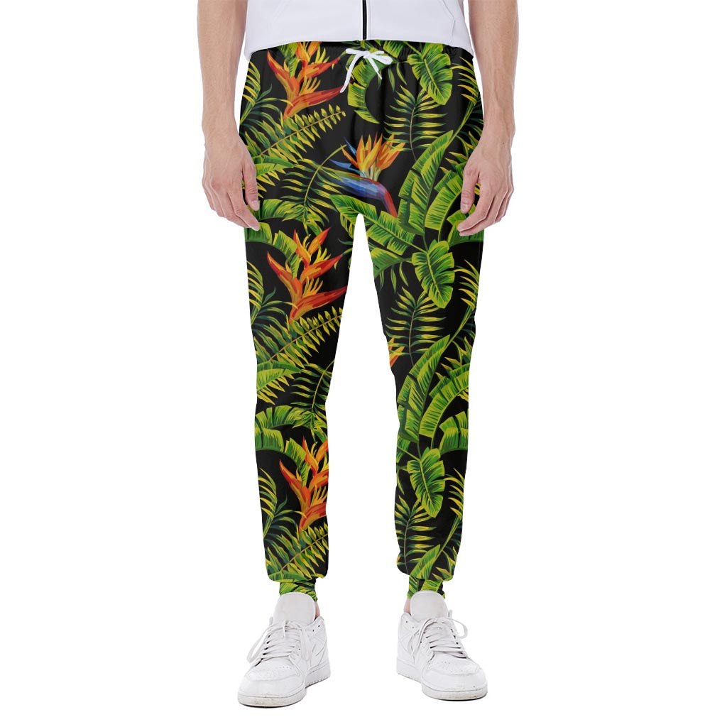 Tropical Summer Pattern Print Scuba Joggers