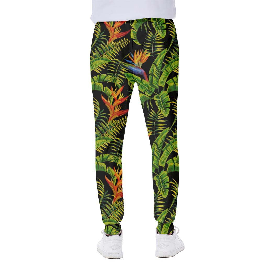 Tropical Summer Pattern Print Scuba Joggers
