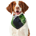 Tropical Toco Toucan Print Dog Bandana