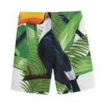Tropical Toco  Toucan Print Men's Sports Shorts