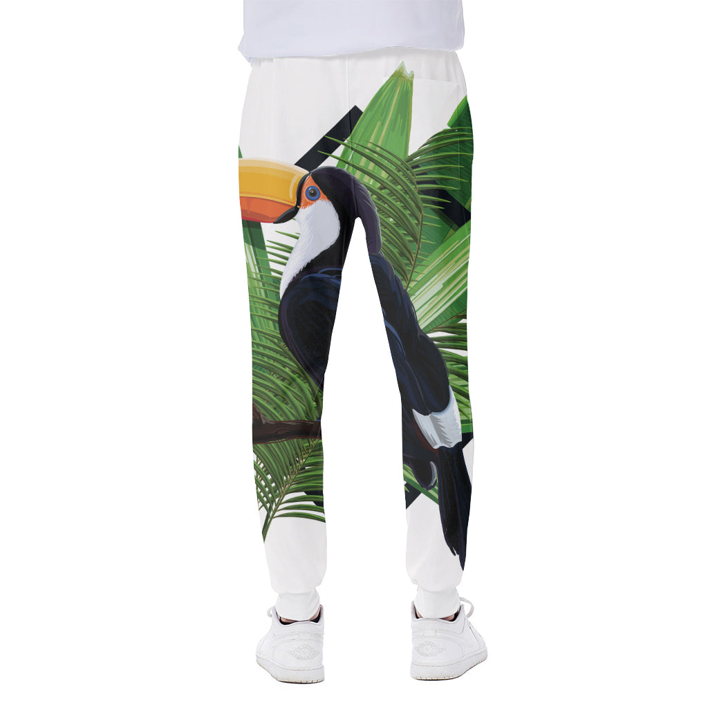 Tropical Toco  Toucan Print Scuba Joggers