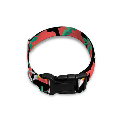 Tropical Toco Toucan Pattern Print Dog Collar