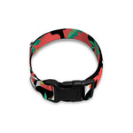 Tropical Toco Toucan Pattern Print Dog Collar