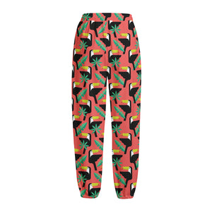 Tropical Toco Toucan Pattern Print Fleece Lined Knit Pants