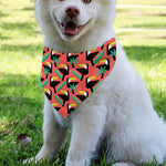 Tropical Toco Toucan Pattern Print Over The Collar Dog Bandana
