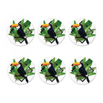 Tropical Toco Toucan Print Coaster Set