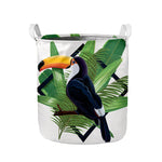 Tropical Toco Toucan Print Collapsible Laundry Basket