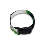 Tropical Toco Toucan Print Dog Collar