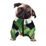 Tropical Toco Toucan Print Dog Zip Up Jacket
