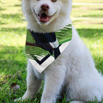 Tropical Toco Toucan Print Over The Collar Dog Bandana