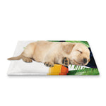 Tropical Toco Toucan Print Pet Cooling Mat Cover